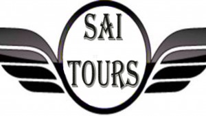 wing logo